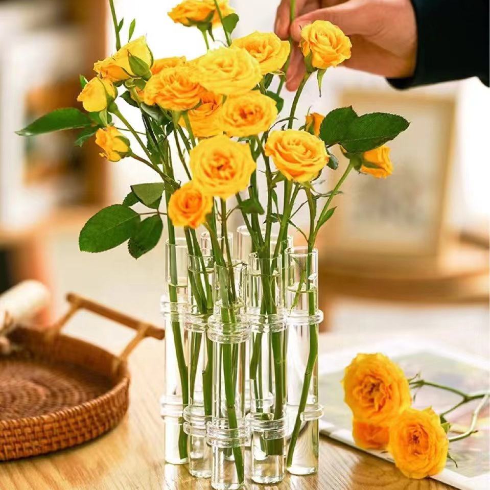 Glass Tube Hydroponic Vase
