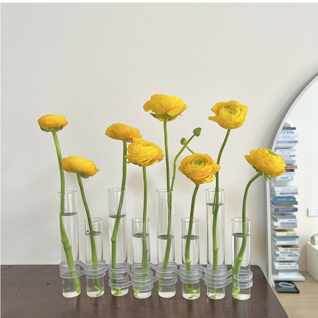Glass Tube Hydroponic Vase