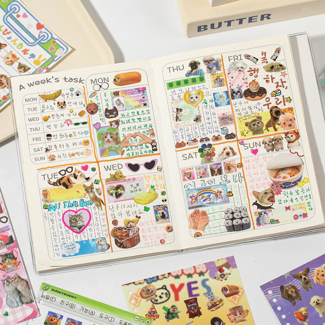 Cute Kitten Collection Sticker Book
