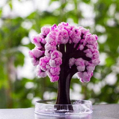 Magic Sakura Tree crystal growing Kit